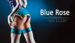 Cosplay Blue Rose (Tiger & Bunny)