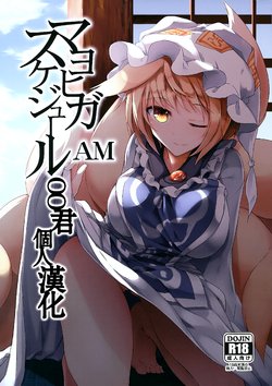 (C91) [Midorineko (Midori)] Mayoiga Schedule AM (Touhou Project) [Chinese] [oo君個人漢化]