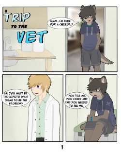 A Trip to the Vet