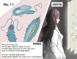 Mushi Research Report No.11 [Korean]