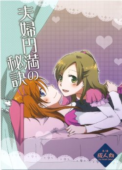 (C81) [Niratama (Sekihara, Chinhou)] Fuufu Enman no Hiketsu (Suite PreCure♪) [Chinese]