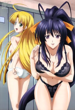 High School DxD