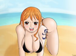 [twitbald] Nami on all fours (One Piece)