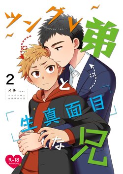 [Suita Kobara ni Choudo Ii (ichi)] Tsungure Otouto to Kimajime na Ani 2 [Digital]