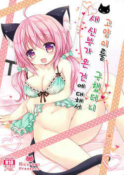 [Rico-ba (Rico)] Nyanko o Tasuketara Yome ga Kita Ken ni Tsuite | 고양이를 구했더니 새 신부가 온 건에 대해서 [Korean] [2016-04-10]