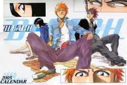 Bleach Calendar 2005