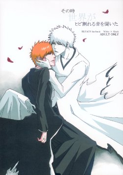 [Gyoukou (Rioka Masaki)] Sono Toki Sekai ga Hibi Wareru Oto wo Kiita (Bleach)