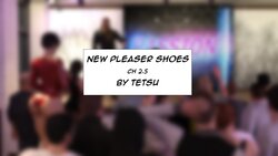 Tetsu - New Pleaser Shoes 2.5