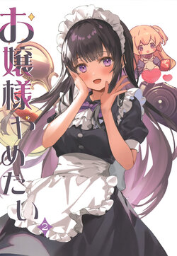 (C100) [Dandakadan (Kanda Dan)] Ojou-sama Yametai 2