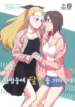 (Panzer Vor! 21) [Canary to Tsubame (Hayakawa Torinone)] Mayonaka ni Tsuki o Matsu | 한밤중에 달님을 기다리다 (Girls und Panzer) [Korean]