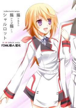 [All Write (Kakeru)] Kakenunara Kakereba Kakou Charlotte (IS <Infinite Stratos>) [Chinese] [final個人漢化]