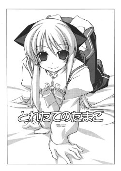 (C74) [ANGYADOW (Shikei)] Toretate no Tamago (Various)