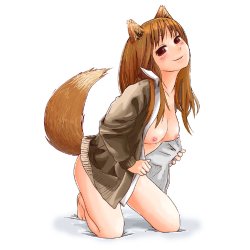 spice and wolf