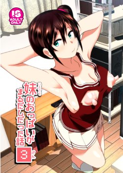 [Supe (Nakani)] Imouto no Oppai ga Marudashi Datta Hanashi 3 [Polish] [Digital]