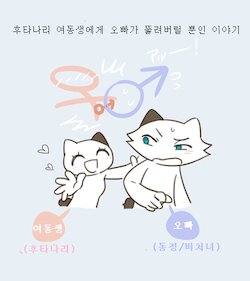 [komeko] Futanari no Imouto ni Ani ga Horareru dake no Hanashi | 후타나리 여동생에게 오빠가 뚫려버릴 뿐인 이야기 [Korean] [렷뭄가]