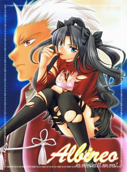 (Mimiket 10) [RED DATA BOOK (Amano Ryuuki)] Albireo (Fate stay night) [Chinese]