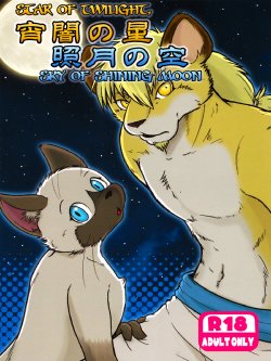 (C78) [Inuima (Horipooh)] Yoiyami no hoshi Terutsuki no sora | Star of Twilight, Sky of Shining Moon [English] [AND_IS_W]