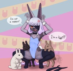 [FiftyfifthFleet] Year of the Rabbit, Featuring Ophelia (Not a Rabbit)