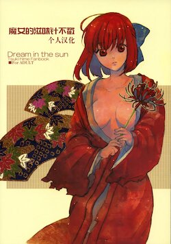 [Aihara Otome (Yamada Nyoriko)] Dream in the sun (Tsukihime) [Chinese] [魔女的滋味针不戳个人汉化]