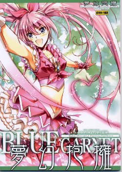 (C80) [BLUE GARNET (Serizawa Katsumi)] Mugen Houyou (Suite Precure)