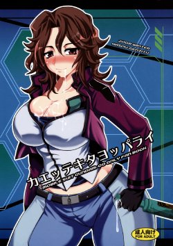 (C75) [Kasou Genjitsu (Hasekura Noise)] Kaettekita Yopparai (Gundam00)