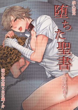 [Karaage Of The Year (Karaage Muchio)] Ochita Seisho (Prince of Tennis)