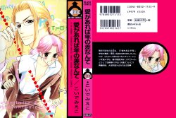 Ai ga Areba Toshinosa Nante