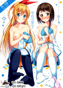 (C85) [Fujiya (Nectar)] Nanikoi? | 무슨사랑 (Nisekoi) [Korean] [Team Dog Drip]