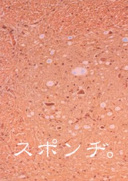 (CR30) [Okinawa Taieki Gunjinkai (Yasunaga Kouichirou)] a sponge (Urusei Yatsura)