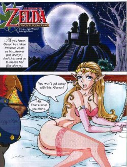 [Selene Cordero] Wild Fucker (The Legend of Zelda) [English]