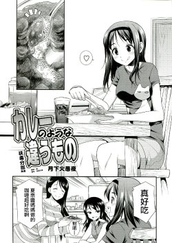 (C85) [Zennihon Haeteru Kai (Various)] Curry no You na Chigau Mono (Futanari! 2) [Chinese] [扶毒分部]