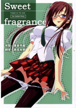 (C76) [Koito Sousakusho (Hinata Mutsuki)] Sweet fragrance (Rebuild of Evangelion) [Chinese] [时空汉化]