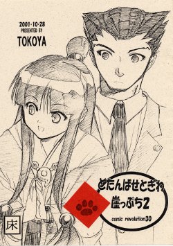 [Toko-ya (Kitou En)] Dotanbasetogi wa gake ppuchi 2 (Ace Attorney)