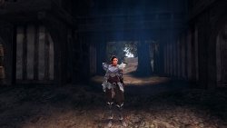 Mabinogi Heroes / Vindictus nude