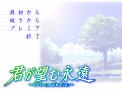 [Age] Kimi ga Nozomu Eien