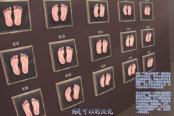 [tsunakama] Wall Of Female Genitalia_foot Ver[Chinese]