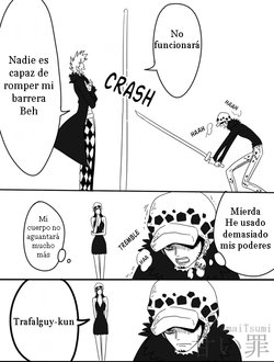The barrier (one piece) - Spanish