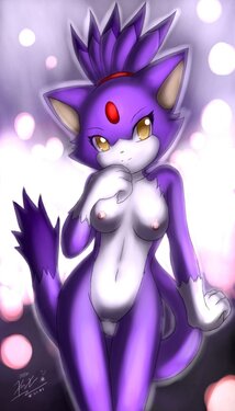 Furry - Blaze The Cat Collection