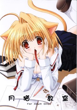 (C63) [Neko Kinryouku (NekoNeko)] Tsukineko Kyoushitsu (Tsukihime)