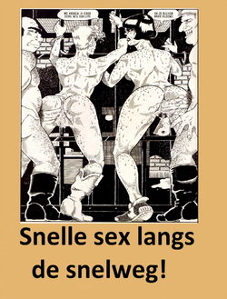 Snelle sex langs de snelweg (Dutch)