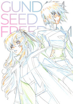 Mobile Suit Gundam SEED FREEDOM Pamphlet Deluxe Edition