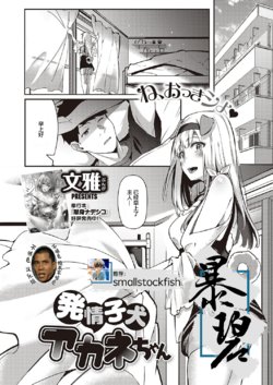 [Bunga] Hatsujou Koinu Akane-chan | 发情小狗茜 (COMIC ExE 29) [Chinese] [暴碧汉化组×不够色汉化组] [Digital]