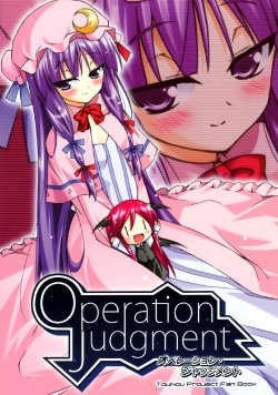 (C80) [Lost Rage (Mizuno Kurage)] Operation Judgment (Touhou Project)