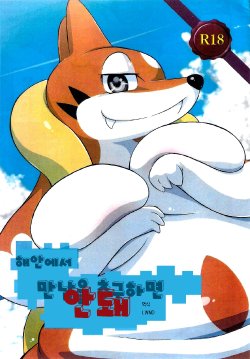 (Kemoket 4) [Two Tone Color (Korurun)] Kaigan ni Deai o Motomeru no wa Machigai (Pokémon X and Y) [Korean] [LWND]