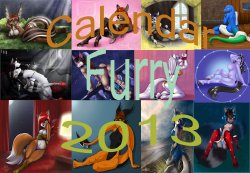 calendar furry 2013