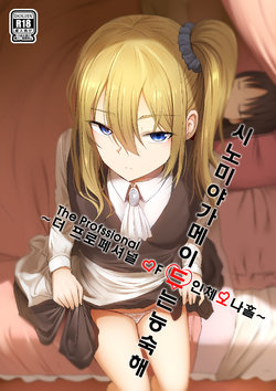 [Ginhaha] Shinomiya no Maid wa Tokojyouzu~ Professional Jintai Onahole (Kaguya-sama wa Kokurasetai) [Korean]