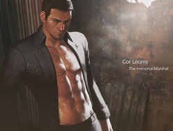 [Penguin Frontier] Cor Leonis  (Final Fantasy XV)