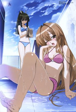 Megami 087 [2007-08]