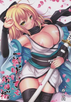 (SC2017 Summer) [An-Arc (Hamo)] Ichirin Saite mo Sakura wa Sakura (Fate/Grand Order)