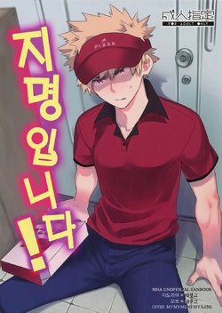 (SPARK13) [Bakuchi Jinsei SP (Satsuki Fumi)] Goshimei desu! | 지명입니다! (Boku no Hero Academia) [Korean]